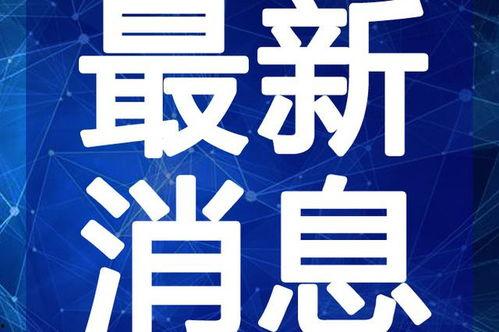 爆料牛群骂街事件视频最新,网络暴力引发社会热议