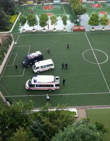 昆明小学爆料事件最新,真相揭开，家长教师共同守护孩子安全